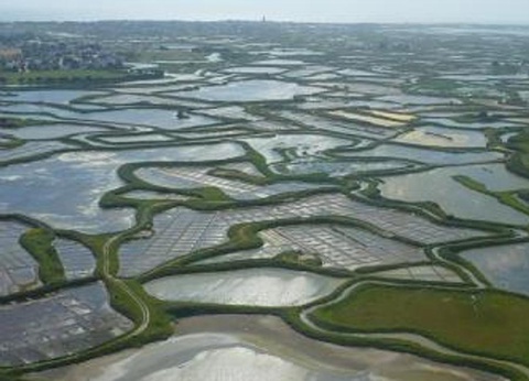 Camping Nantes Camping, 5* - 61