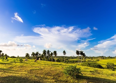 Chambre d'hôtes Cuba chez l'habitant, en casa particular - 15