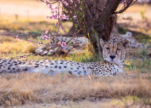 Circuit La Namibie, joyau de l'Afrique australe - 10
