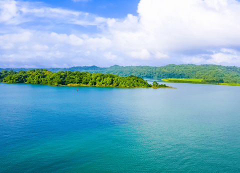 Circuit Panama Jungle Authentique - 18