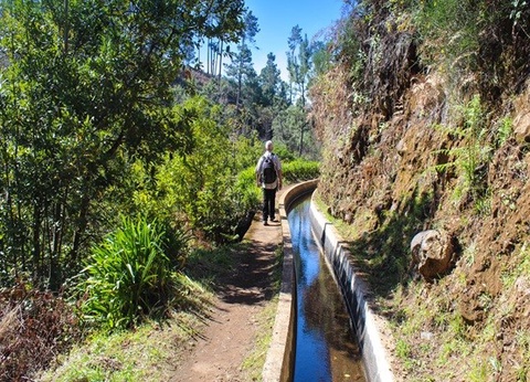 Circuit Madère Authentique : entre falaises et levadas *** - 18