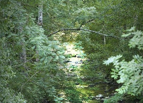 Village Vacances Les Chalets de la Gazonne, 2* - 95