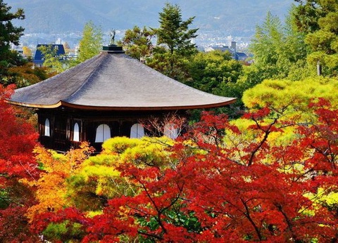 CIRCUIT LE JAPON EN LIBERTE ET TRADITIONS DU JAPON RURAL - 9