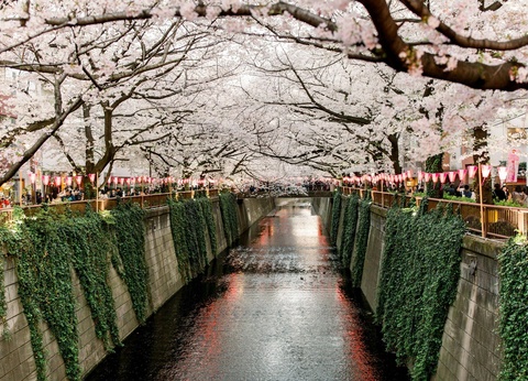 Séjour Tokyo en 3* ou 4* - 3