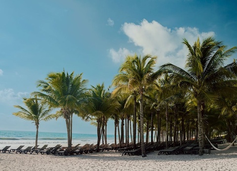 Club Marmara Catalonia Playa Maroma - Vols Air France ***** - 9