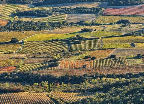 Camping La Tour de France, 3* - 54