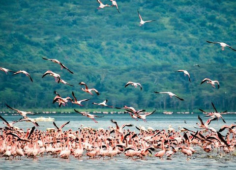 Circuit Immersion au Kenya et Plage de Diani - 7