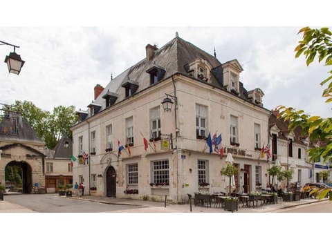 Charme et tranquilité près de Chinon - 3* - 2