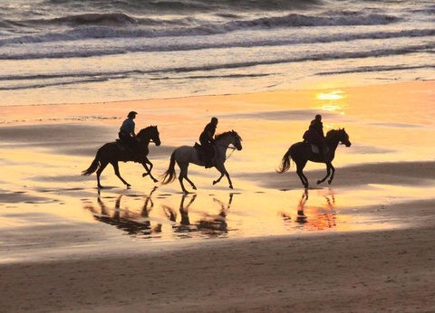 Camping Les Salins de la Gardiole 4* - 24