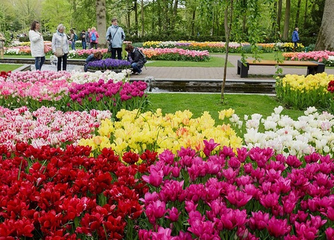 Découvrez Scheveningen et le Keukenhof en un week-end - 3* - 24