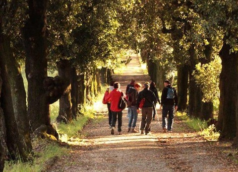 Camping Barco Reale, 4* - 26