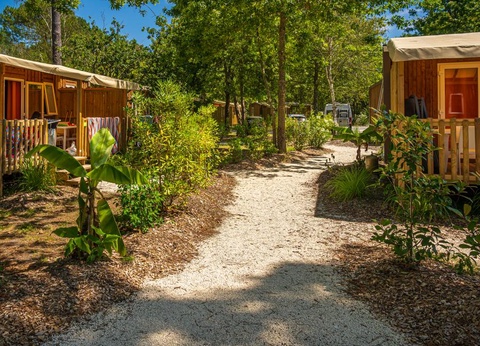 Camping L'Orée Du Bois, 4* - 42