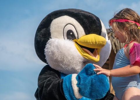 Camping Les Genêts, 5* - 55