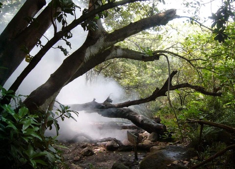 Road Trip Nature & Farniente au Costa Rica - 9