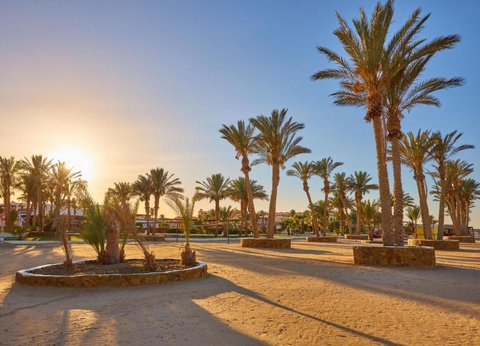 Combiné Déesses du Nil et Protels Crystal Beach Resort - 8