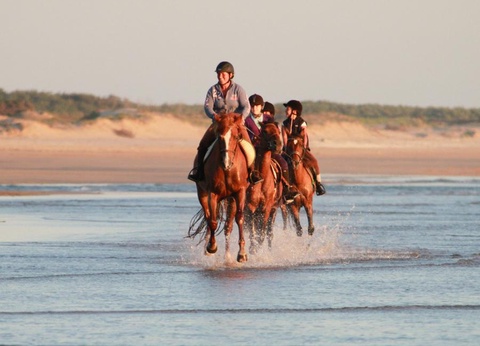 Camping Signol, 5* - 17