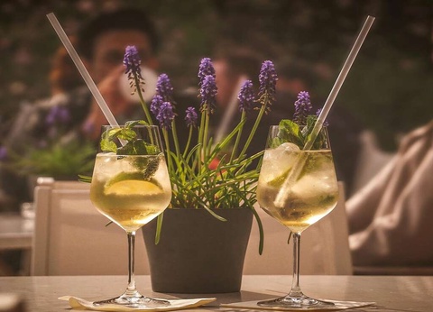 Séjour gourmand au coeur de la nature de l'Occitanie - 2* - 17