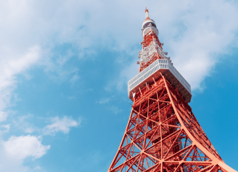 Circuit Au Coeur du Japon, Authentique et Insolite et extension Tokyo - 30