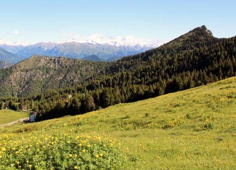 Villenpark Sanghen, 4* - 100