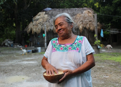 Circuit Les visages du Yucatán - 6