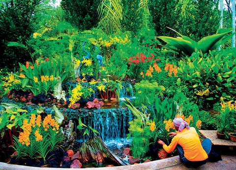 Malaisie et Singapour, du détroit de Malacca à Bornéo - 2