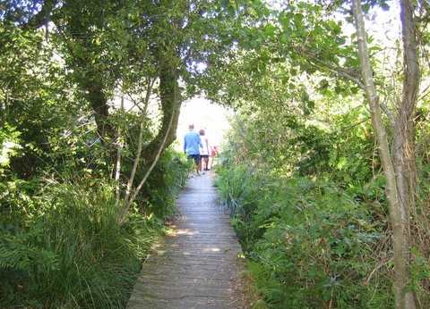 Camping Les 2 Etangs, 4* - 23