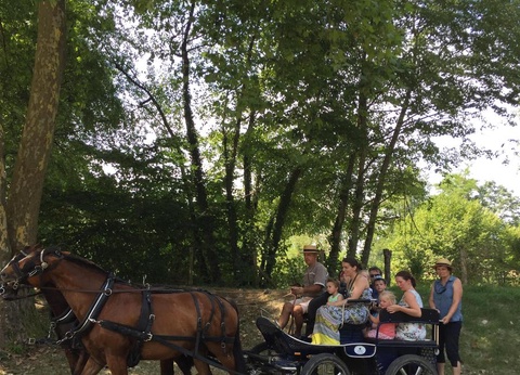 Camping Des 3 lacs, 4* - 51