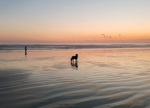 Camping Les Peupliers 3* - 5