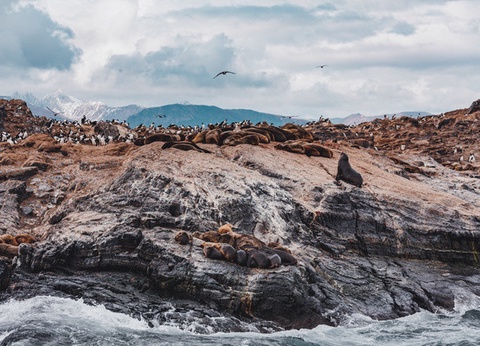 Circuit L'Argentine des grands espaces + pré-tour Ushuaia et El Calafate (maximum 16 participants) - 20