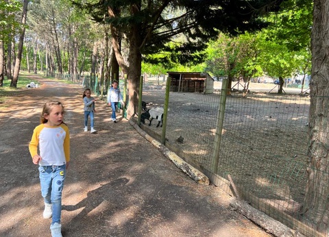 Camping Les Bruyères Carnac 3* - 32