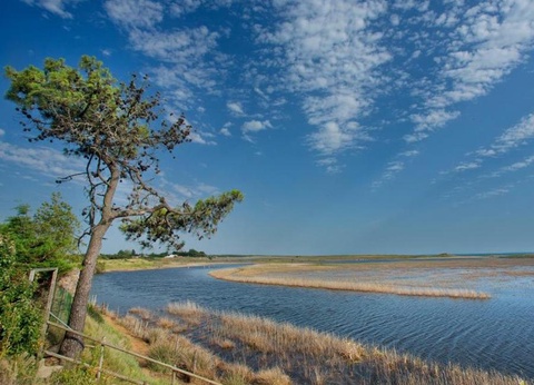 OFFRE CHOC - Camping Les Violettes 4* - 24