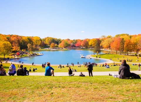 Circuit Beautés du Nord-Est Américain - 11