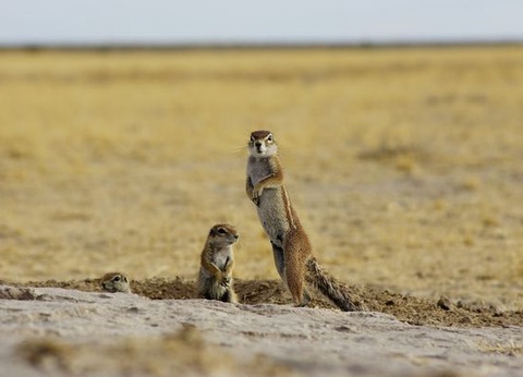 Circuit Merveilles de Namibie et Séjour Fish River Canyon 18J/15N - 20