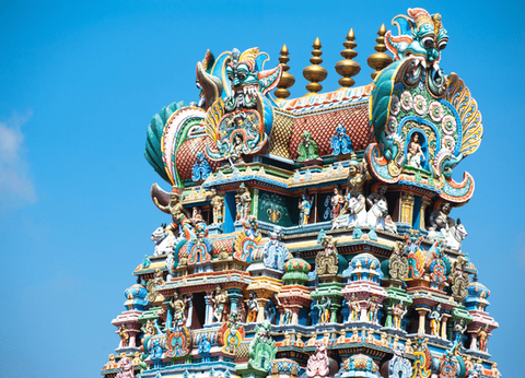 Circuit Couleurs de l'Inde du Sud : Temples, thé et traditions - 7