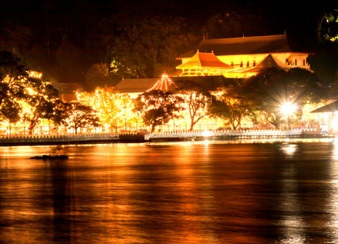 Circuit Lotus du Sri Lanka - 19