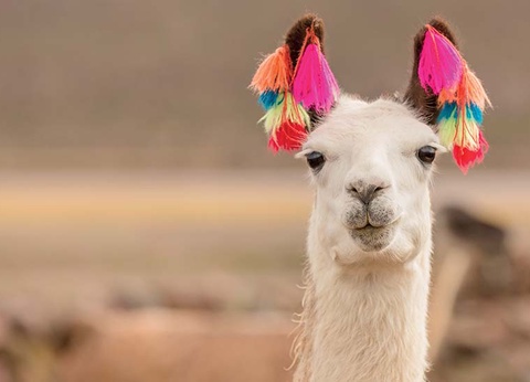 Pérou et Bolivie, Terres des Incas - 4