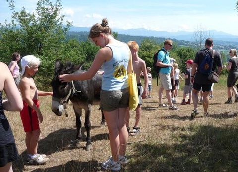 Camping Ile De La Comtesse, 4* - 88