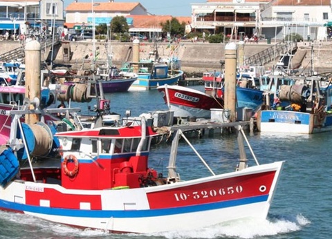 Camping Les Floralies, 4* - 23