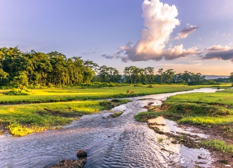 Circuit Trek et rencontres en Annapurna et Chitwan - 13