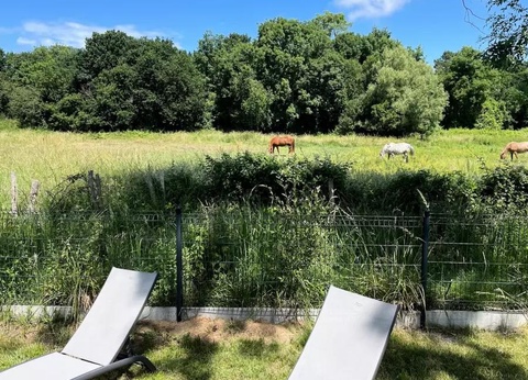 Camping Ecolodges Domaine de la Forêt, 3* - 9