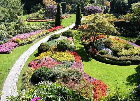 Canada de l'Ouest, les Rocheuses - 4