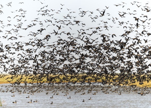 Circuit Mythes & charmes du Sénégal en privatif *** - 10