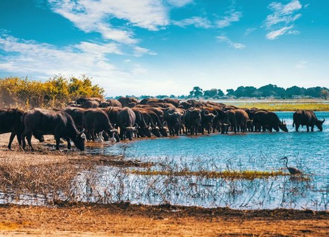 Splendeurs de Namibie & Extension Chobe & Chutes Victoria 15J/12N - 2025 - 14