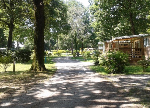 Camping OAKi, 3* - 2