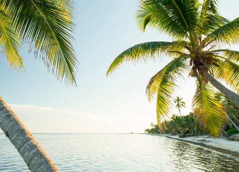 Circuit Guatemala, Sur la Piste du Quetzal et Belize - 42