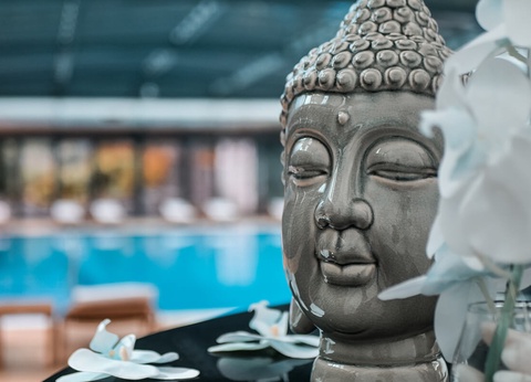 Hôtel Quinta Da Serra 5* - 10