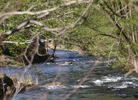 Camping Ushuaïa Villages Le Viaduc, 3* - 30