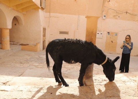 Circuit Ghardaïa, chef-d'oeuvre du Sahara - 14
