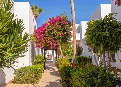 Hôtel Framissima Kapetanios Aqua Resort 4* - 22