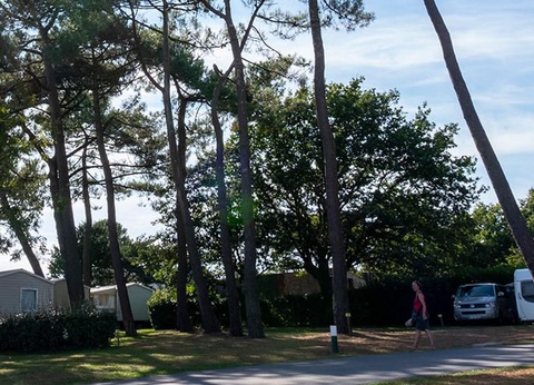 Camping Penn Mar, 3* - 11